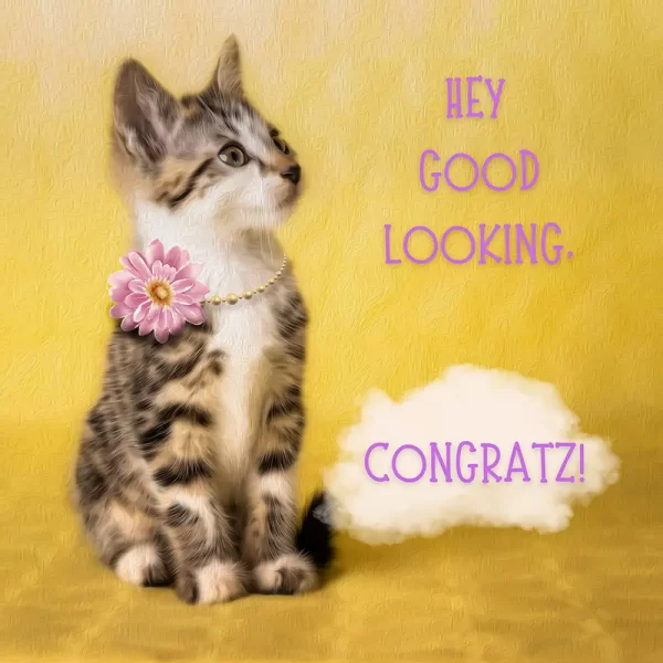 Grappige verjaardagskaart kat met parelketting en bloem - hey good looking, congratz!