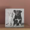 vintage ansichtkaart met kitten en pup