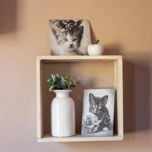 Sfeerfoto twee vintage ansichtkaarten met kitten en droogbloem